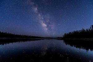 Stars