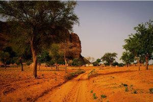 Malian Fusion